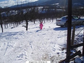 ok_21635.jpg