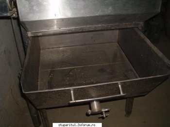 ok_21813.jpg