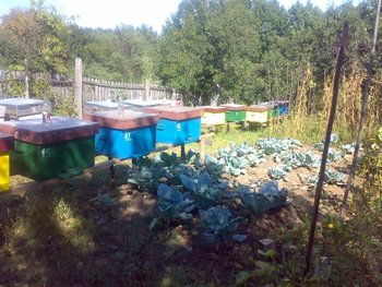 110920101109 (Large).jpg