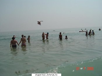 ok_34077.jpg