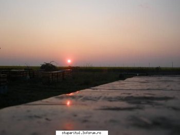 ok_50921.jpg