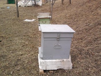 Photo0135 (Small).jpg