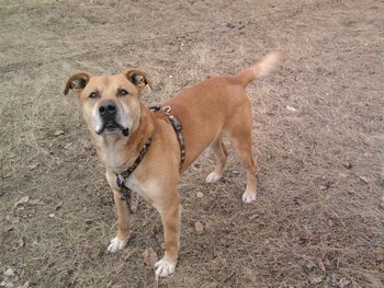 max (Small).jpg