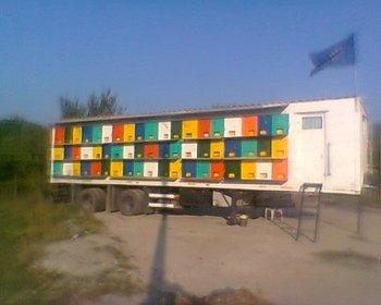 Fotogr.0036.jpg