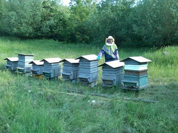 IMG00394-20110526-1858h.jpg
