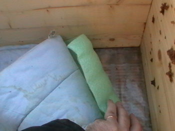 20120102-152427.JPG