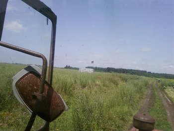 Fotografii-0044 (Medium).jpg