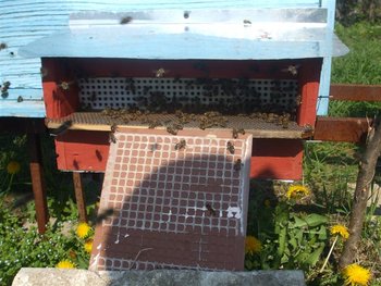 DSCF0884 (Medium).JPG
