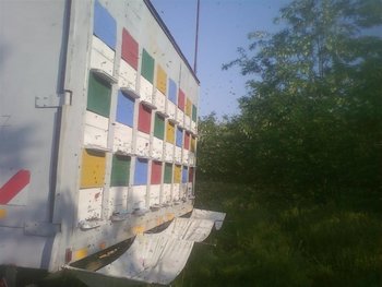 7 (Medium).jpg