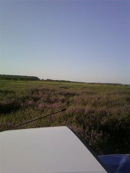 Fotografii-0059 (Medium).jpg