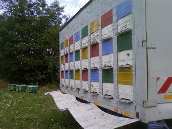 Fotografii-0202 (Medium).jpg
