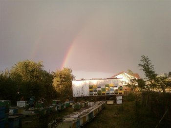 Fotografii-0316 (Medium).jpg
