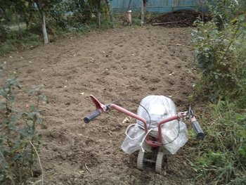 motosapa (Small).jpg