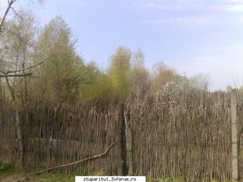 ok_102224.jpg