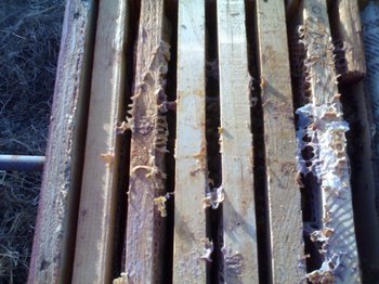 Picture 013 (Small).jpg