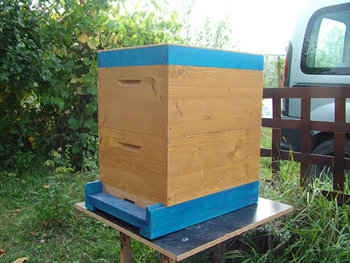 DSCF7484.jpg