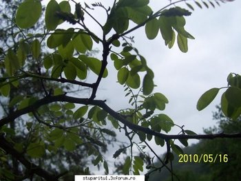 ok_106828.jpg (48.42 KiB) Vizualizat de 4205 ori ok_106828.jpg