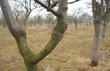 rsz_1dscn2498.jpg