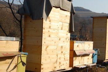 DSC_2015.JPG