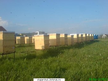 ok_119031.jpg