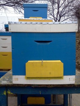 IMG026.jpg