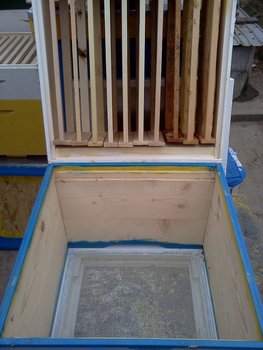 IMG033.jpg