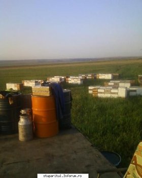 ok_115170.jpg