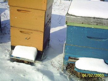PIC_0011.JPG