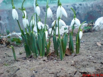 DSC00085.JPG