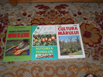 rsz_dscn2554.jpg