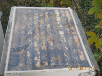 rsz_dscn2202.jpg