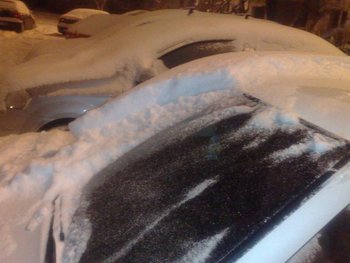 03022012816 (Medium).jpg