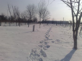 01022012811 (Medium).jpg