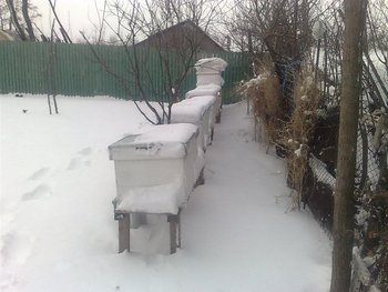 02022012813 (Medium).jpg