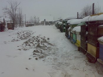 04022012284 (Large).jpg