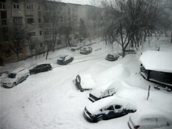 P1080764.JPG
