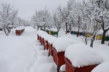 IMG_5164.JPG