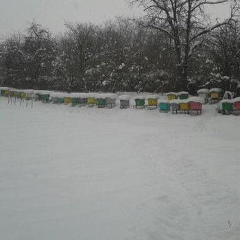 2012-02-03 14.37.13-1.jpg