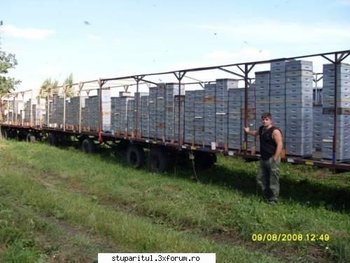 ok_126207.jpg