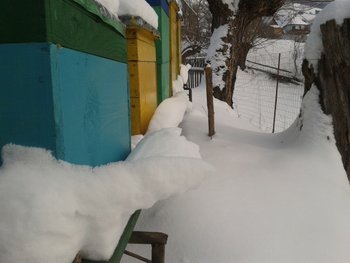 2012-02-07 13.22.41.jpg
