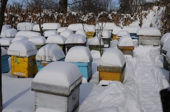 DSC_9212.jpg