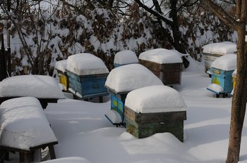 DSC_9214.jpg