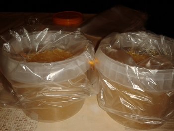 2012-02-08 19.03.02.jpg