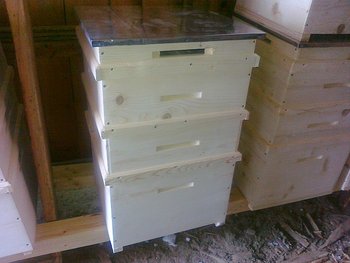 01032012207.jpg