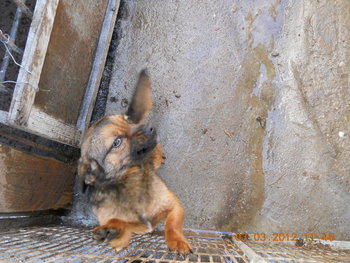 rsz_1dscn2612.jpg