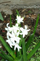 DSC00909.JPG