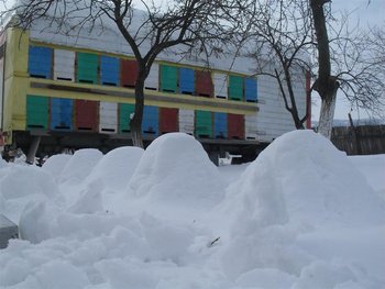 Picture 151 (Medium).jpg