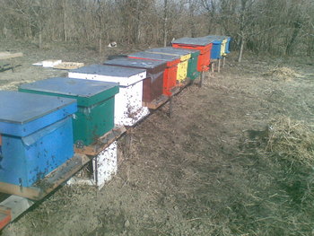 13032012(008)_opt.jpg