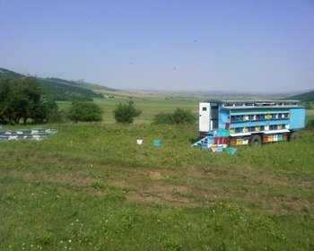 Fotografii-0001.jpg