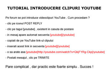 youtube.jpg